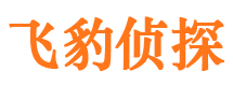 沧浪市私家侦探